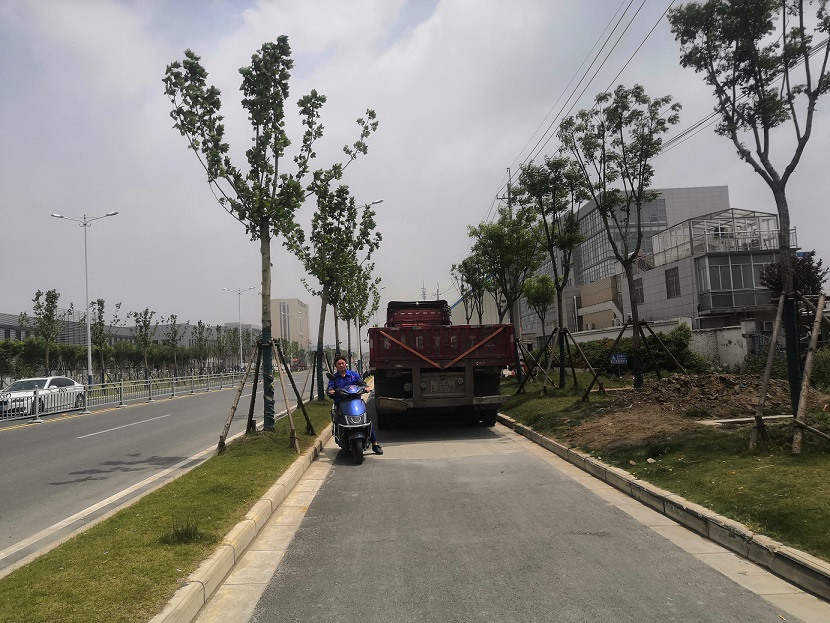 通州湾东安街道乱停车没有相关单位治理！