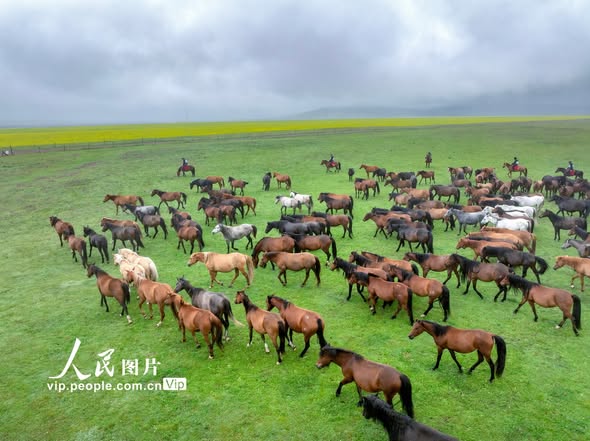 踏青，是抛弃糟粕。迎接新生