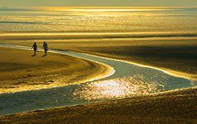 可以假想一下这些满遗是台湾的某个组织搞出来的吗？