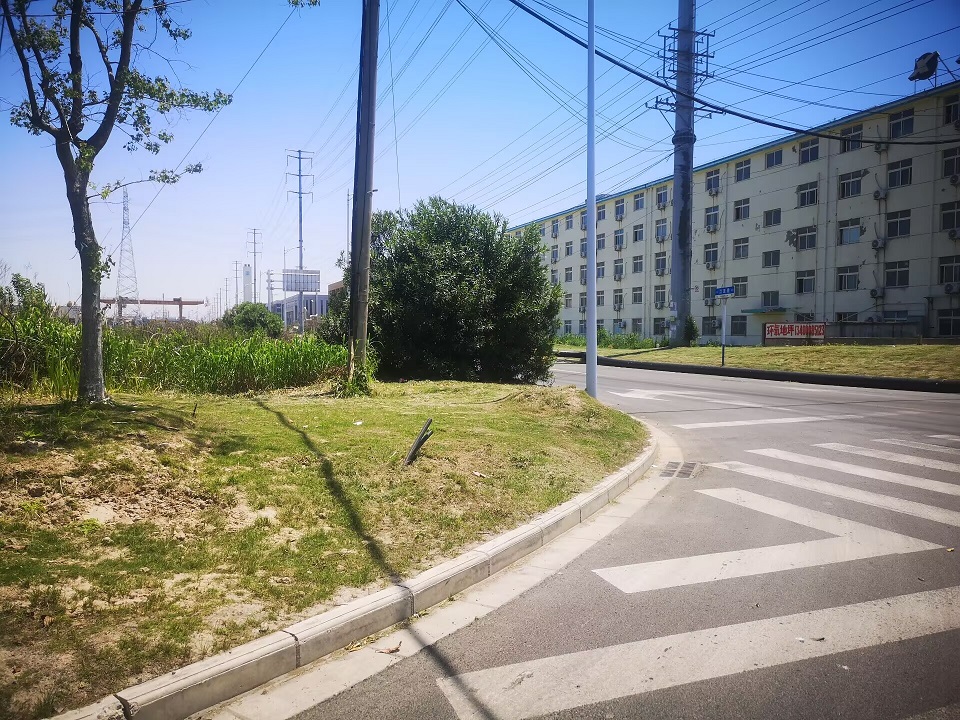 为什么有些明显的市政错误却没人提出整改？